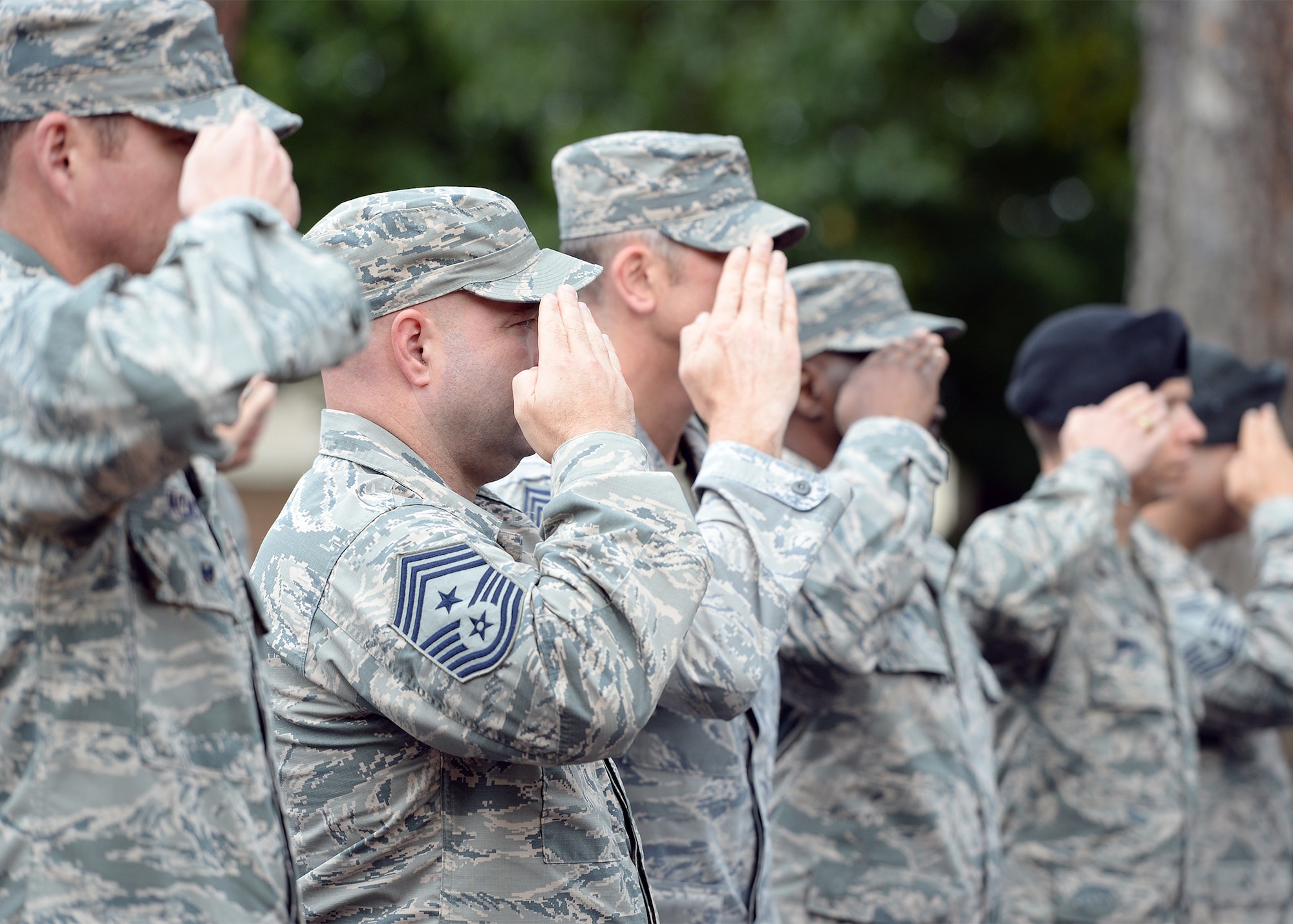 NATO forces partner for Thracian Summer