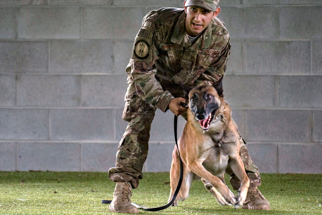 An airman restrains a leashed dog trying to lunge forward.
