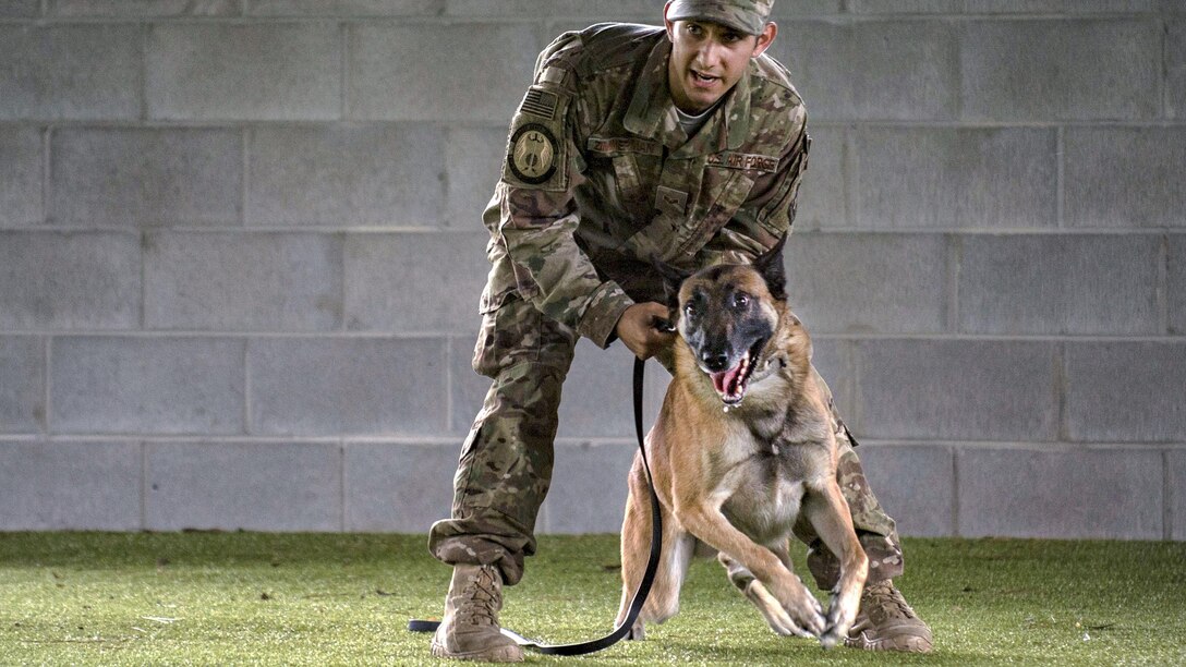 An airman restrains a leashed dog trying to lunge forward.
