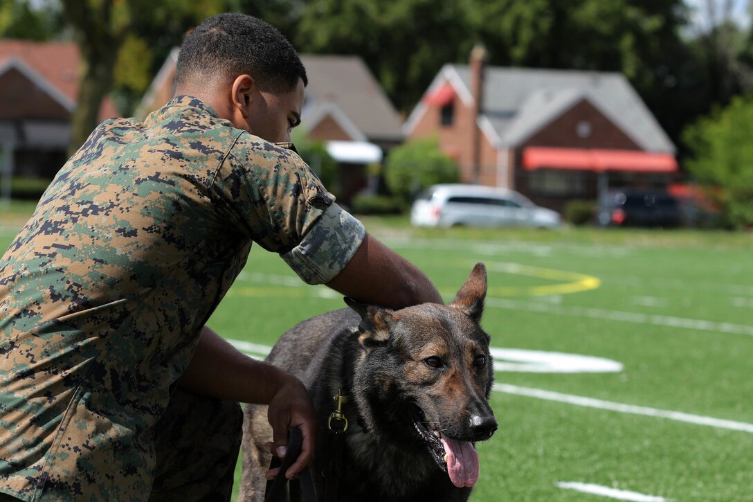 Marine Week Detroit activities.