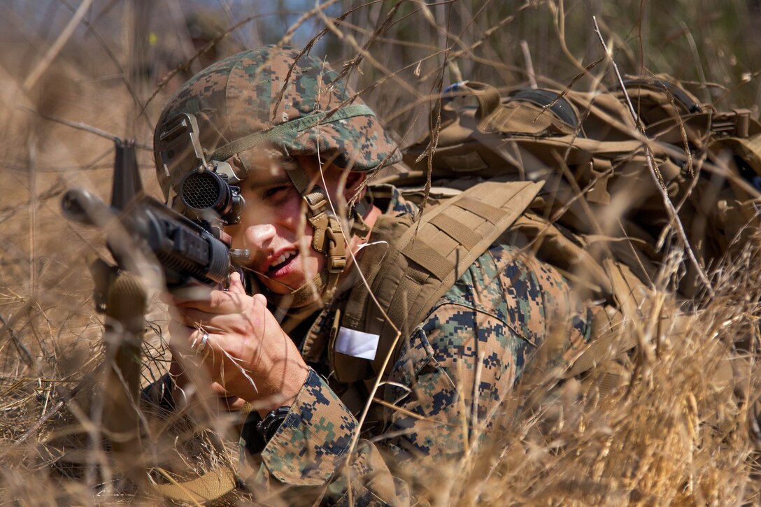 A Marine lays in grass with a weapon aimed.