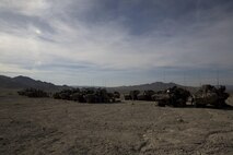 Light Armored Vehicles with 3rd Light Armored Reconnaissance Battalion, 1st Marine Division, staged during part of the Battalion’s Marine Corps' Combat Readiness Evaluation at Marine Corps Air Ground Combat Center Twentynine Palms, Calif., Mar. 13, 2017. 3rd LAR conducted a two part MCCRE to evaluate the combat readiness of D Co. (Marine Corps photo by Lance Cpl. Mike Hernandez)