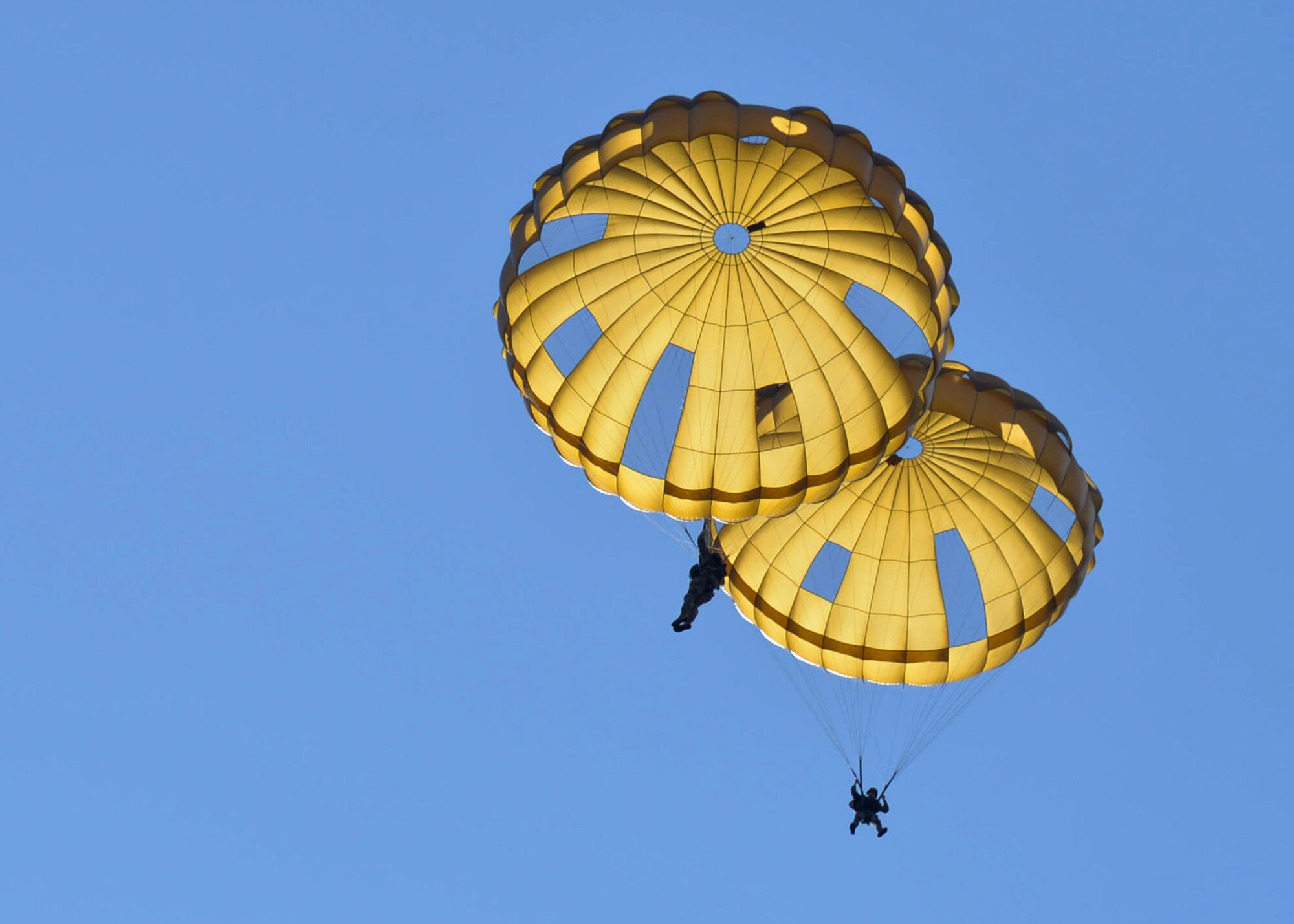 Parachute canopies fill the sky as paratroopers from eight countries land at the Houtdorperveld Drop Zone during Falcon Leap Sept. 15, 2017, Ermelo, Netherlands. (U.S. Air Force photo by Airman 1st Class Codie Collins)