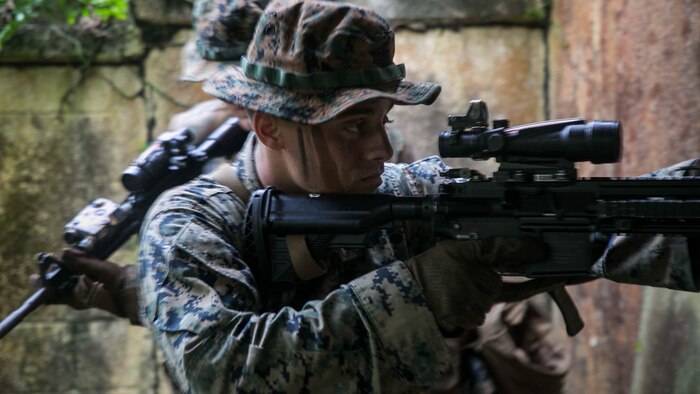 The 31st MEU partners with the Navy's Amphibious Squadron 11 to form the Bonhomme Richard Expeditionary Strike Group, providing a cohesive blue-green team capable of accomplishing a variety of missions across the Indo-Asia-Pacific region.