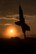 (U.S. Air Force photo)