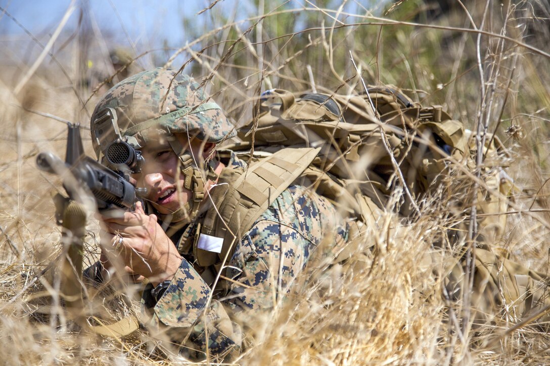 A Marine lying in brush squints through a weapon scope.