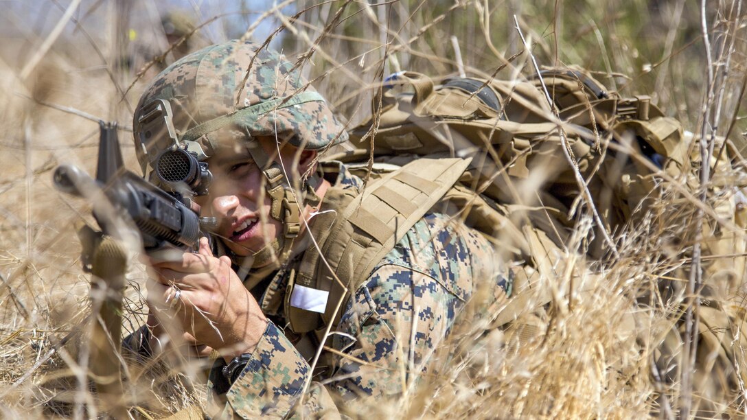 A Marine lying in brush squints through a weapon scope.
