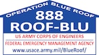 Blue Roof Logo