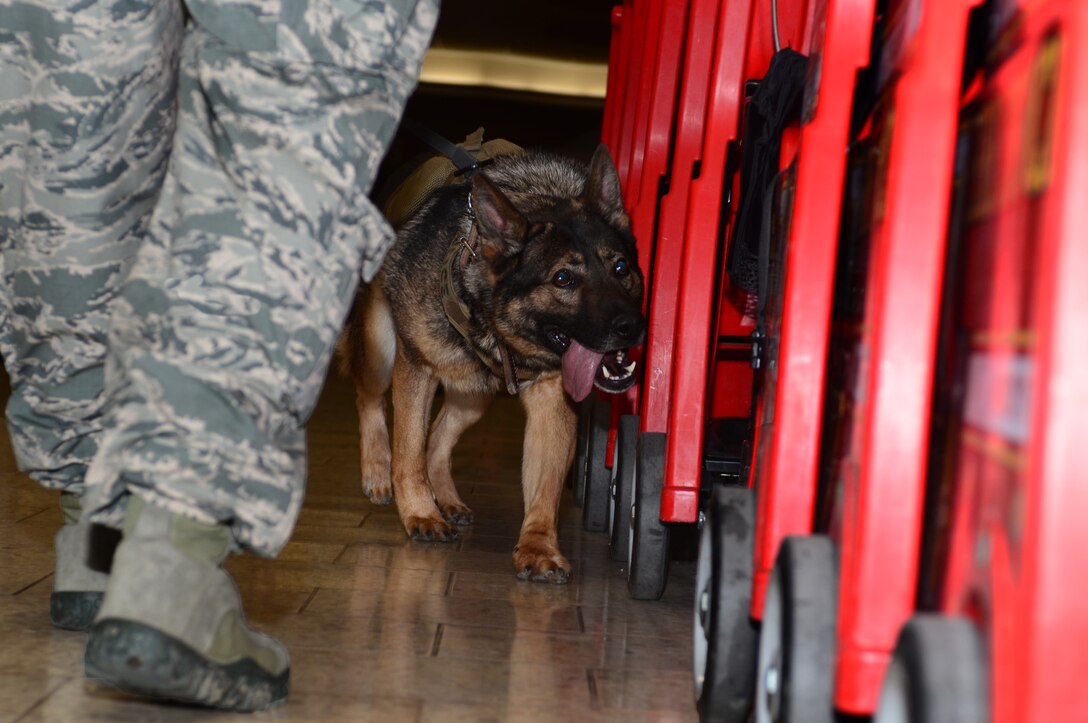The goal of the training is two-fold: become familiar with the layout of the buildings to provide a better idea of how to approach and handle a situation, and allow the handlers to gain a different perspective from civilian law enforcement.