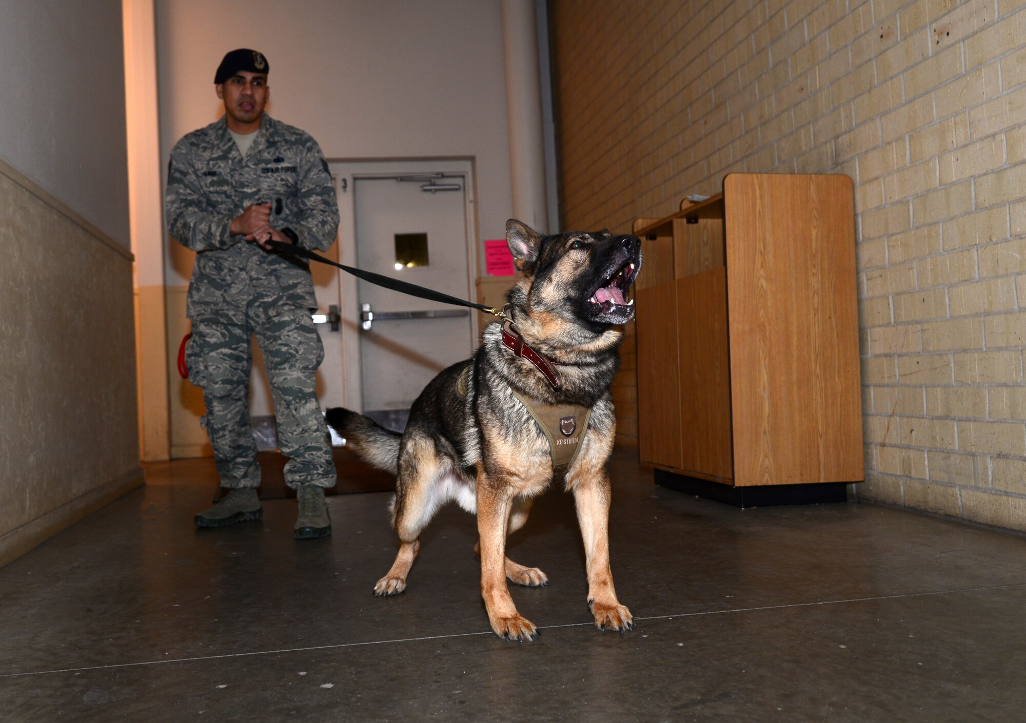Security Forces members used this opportunity to build relationships with their civilian counterparts and familiarize their K-9s with areas around the city.