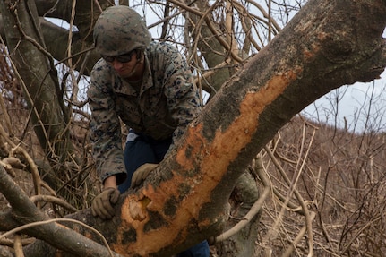 The 26th MEU is supporting the Federal Emergency Management Agency, the lead federal agency, and local authorities in Puerto Rico and the U.S. Virgin Islands with the combined goal of protecting the lives and safety of those in affected areas.