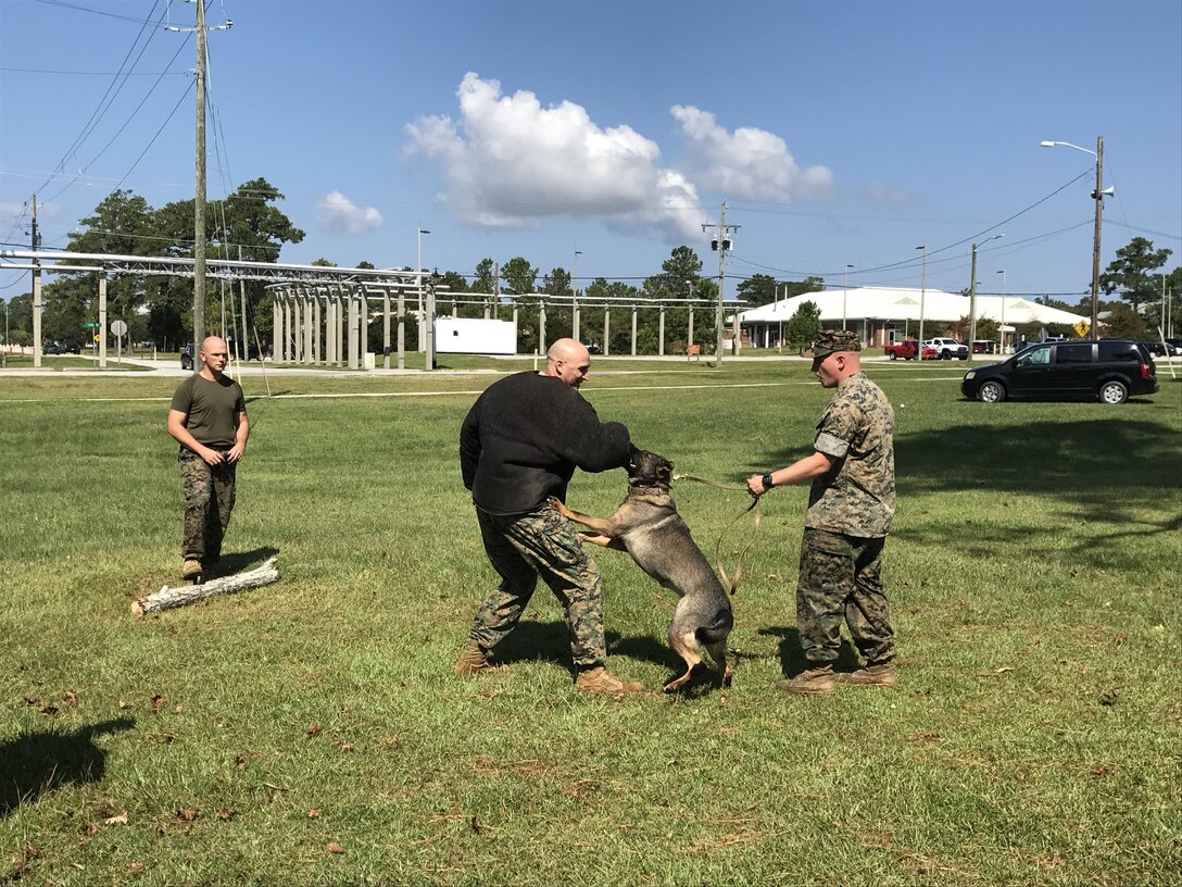 On September 22, 2017 as part of Better Half Day Major Aaron K. Wisherd, Company Commander for Utilities Instruction Company; donned a protective jacket and volunteered for a Military Working Dog demonstration.