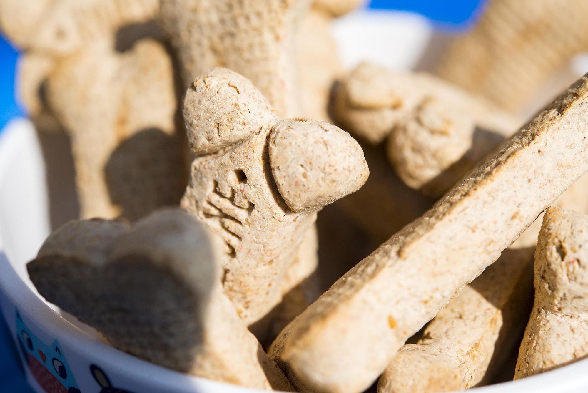 Dog treats rest in a bowl at a local pet store, Sept. 23, 2017, in Valdosta, Ga. Members of the 23d Civil Engineer Squadron hosted the event as part of National Preparedness Month to educate pet owners on disaster precautions. (U.S. Air Force photo by Airman 1st Class Erick Requadt)