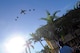 PACAF hosts 2017 Pacific Air Chiefs Symposium