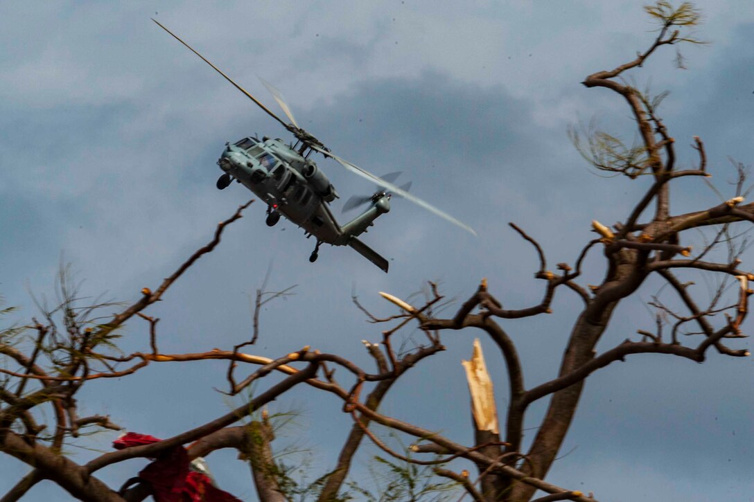 A helicopter flies above a damaged tree.