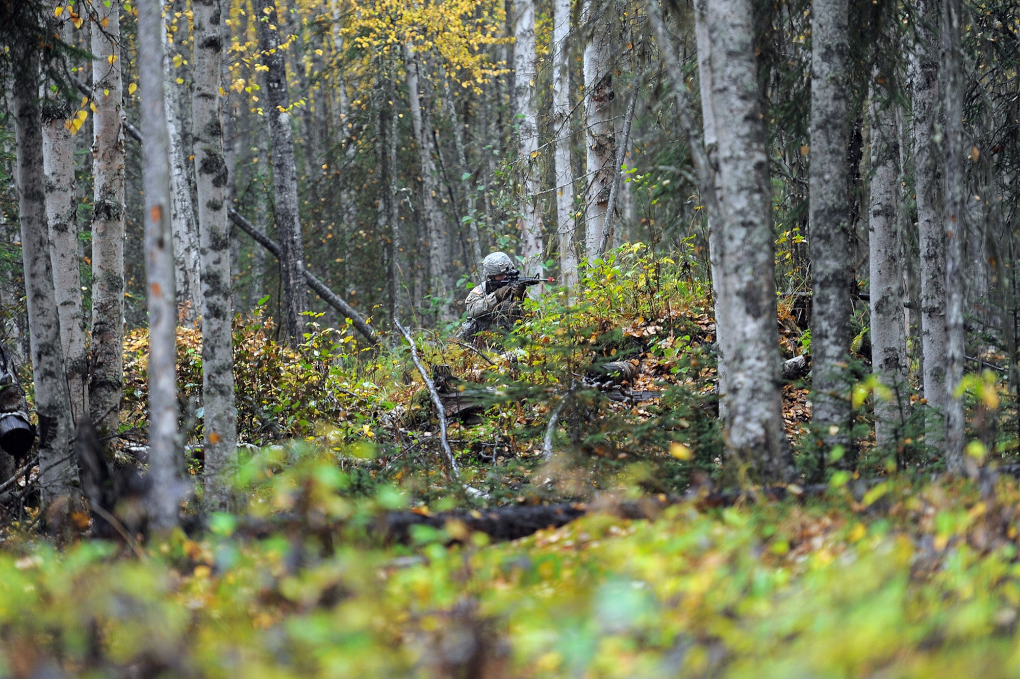 A soldier assigned to the 109th Transportation Company "Muleskinners", 17th Combat Sustainment Support Battalion, U.S. Army Alaska, provides covering fire as fellow Soldiers maneuver on an enemy force during an exercise on Joint Base Elmendorf-Richardson, Alaska, Sept. 21, 2017.  The Soldiers performed this training as part of a larger exercise in multiple locations to build and maintain proficiency in essential soldiering skills like react to contact, and securing an objective as well as traffic control point training.