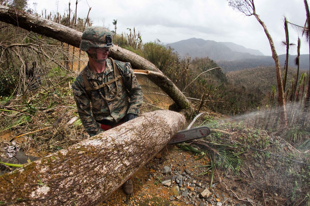 A U.S. Marine with Battalion Landing Team 2nd Battalion, 6th Marine Regiment, 26th Marine Expeditionary Unit (MEU), uses a chainsaw to cut a tree blocking a road as part of Hurricane Maria relief efforts in Ceiba, Puerto Rico, Sept. 27, 2017. The 26th MEU is supporting the Federal Emergency Management Agency, the lead federal agency, and local authorities in Puerto Rico with the combined goal of protecting the lives and safety of those in affected areas. (U.S. Marine Corps photo by Lance Cpl. Alexis C. Schneider)