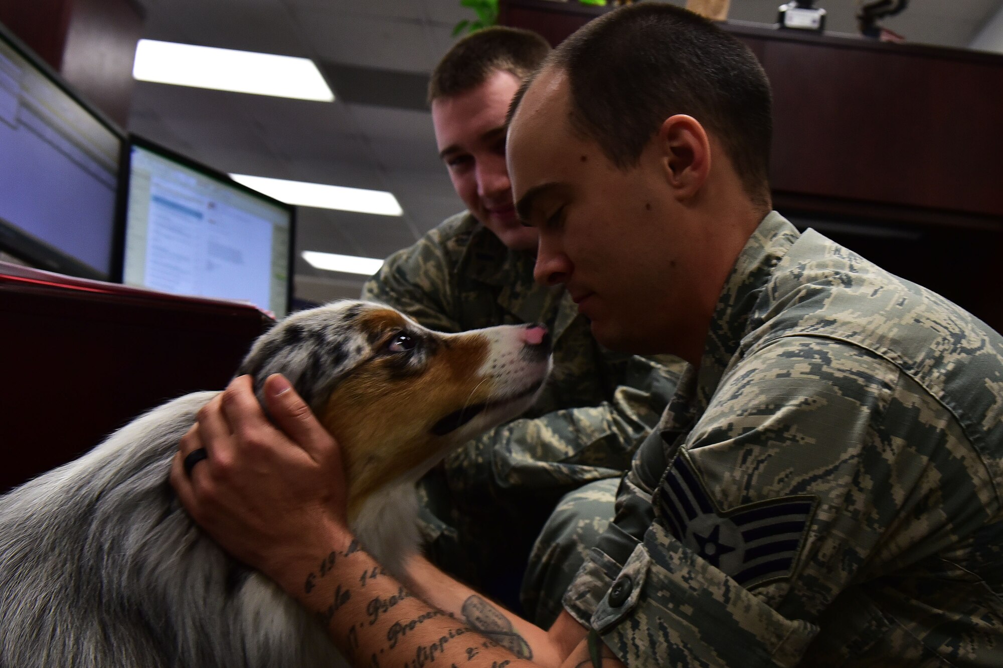 Staff Sgt. Gregory Corbitt, 19th Force Support Squadron NCO in charge of reenlistments and extensions, pets Milo, 19th Airlift Wing morale dog, Sept. 21, 2017, at Little Rock Air Force Base, Ark. Milo went through several offices that day to increase morale and help Airmen express themselves around chaplains and chapel staff members. (U.S. Air Force photo by Airman Rhett Isbell)