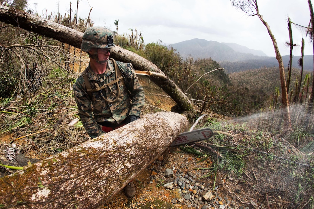 A Marine uses a chainsaw to cut down a tree in the road.