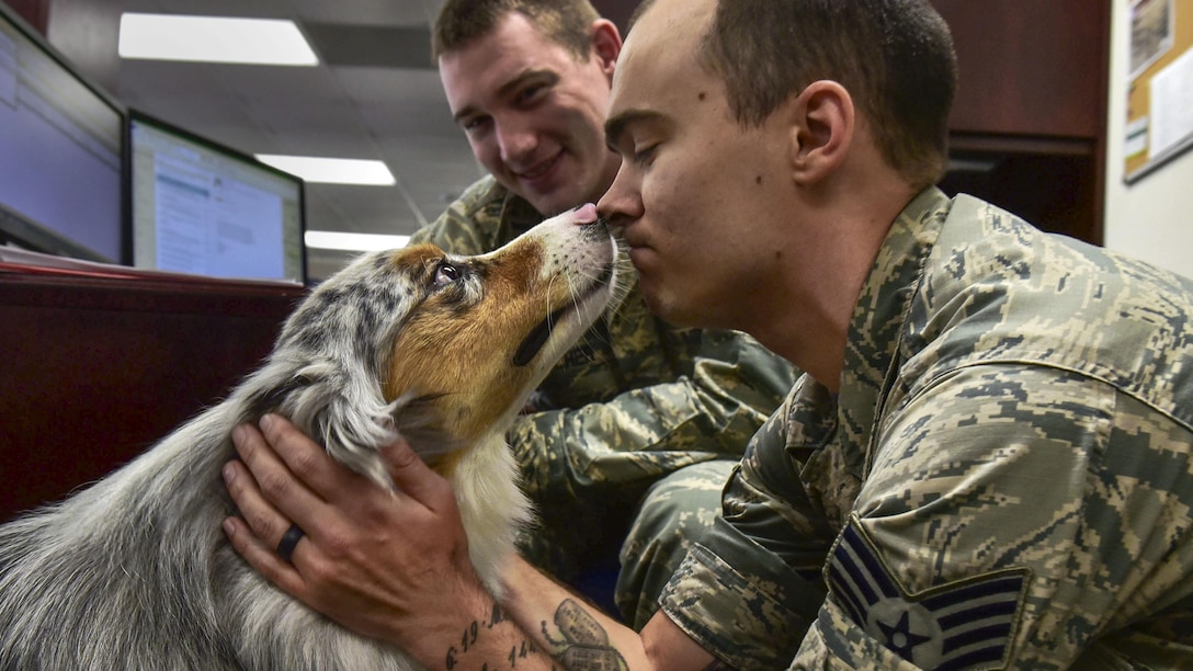 An airman holds a dog's face as the man and dog rub noses