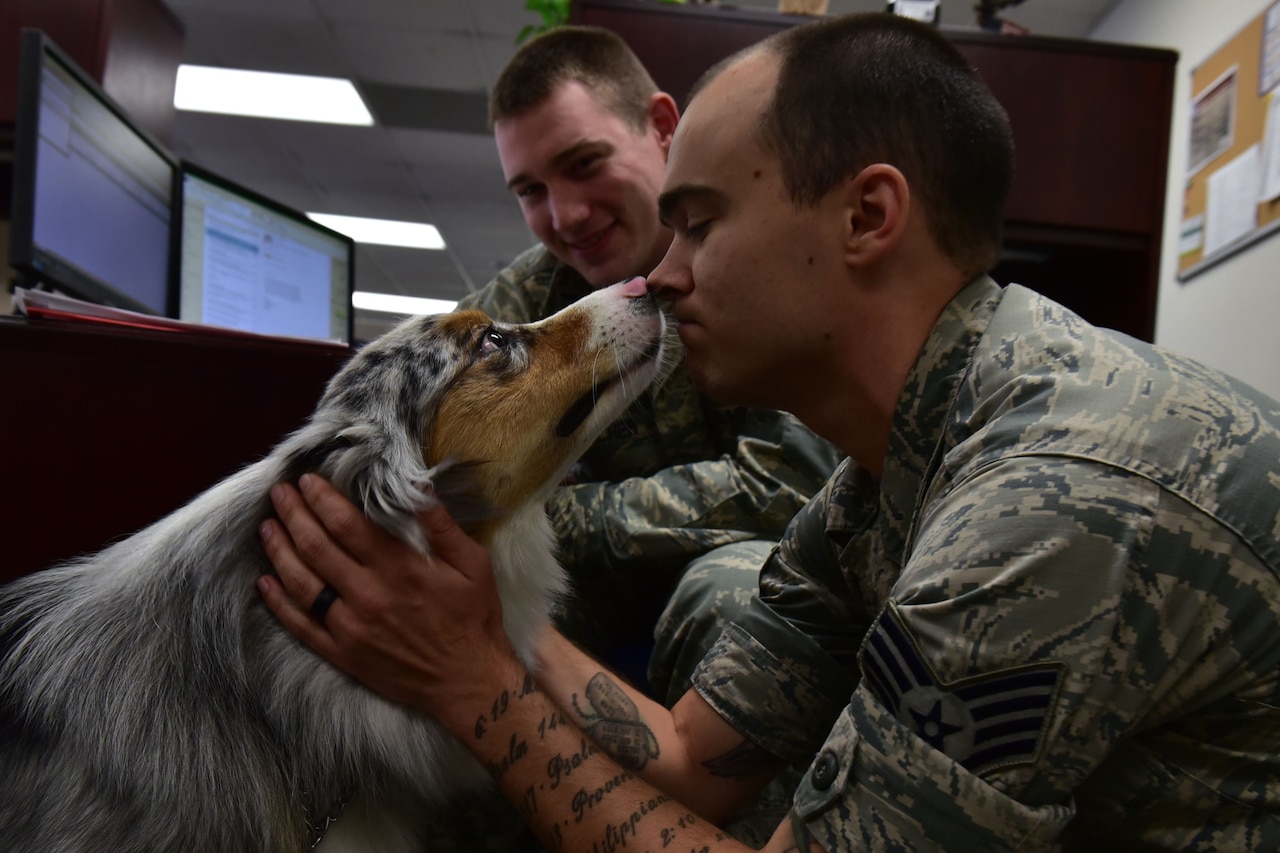 Staff Sgt. Gregory Corbitt, 19th Force Support Squadron NCO in charge of reenlistments and extensions, pets Milo, 19th Airlift Wing morale dog, Sept. 21, 2017, at Little Rock Air Force Base, Ark. Milo went through several offices that day to increase morale and help Airmen express themselves around chaplains and chapel staff members. (U.S. Air Force photo by Airman Rhett Isbell)