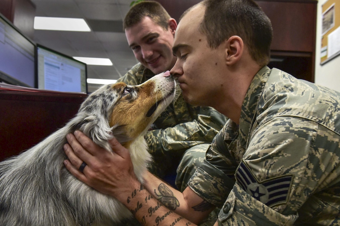 An airman holds a dog's face as the man and dog rub noses