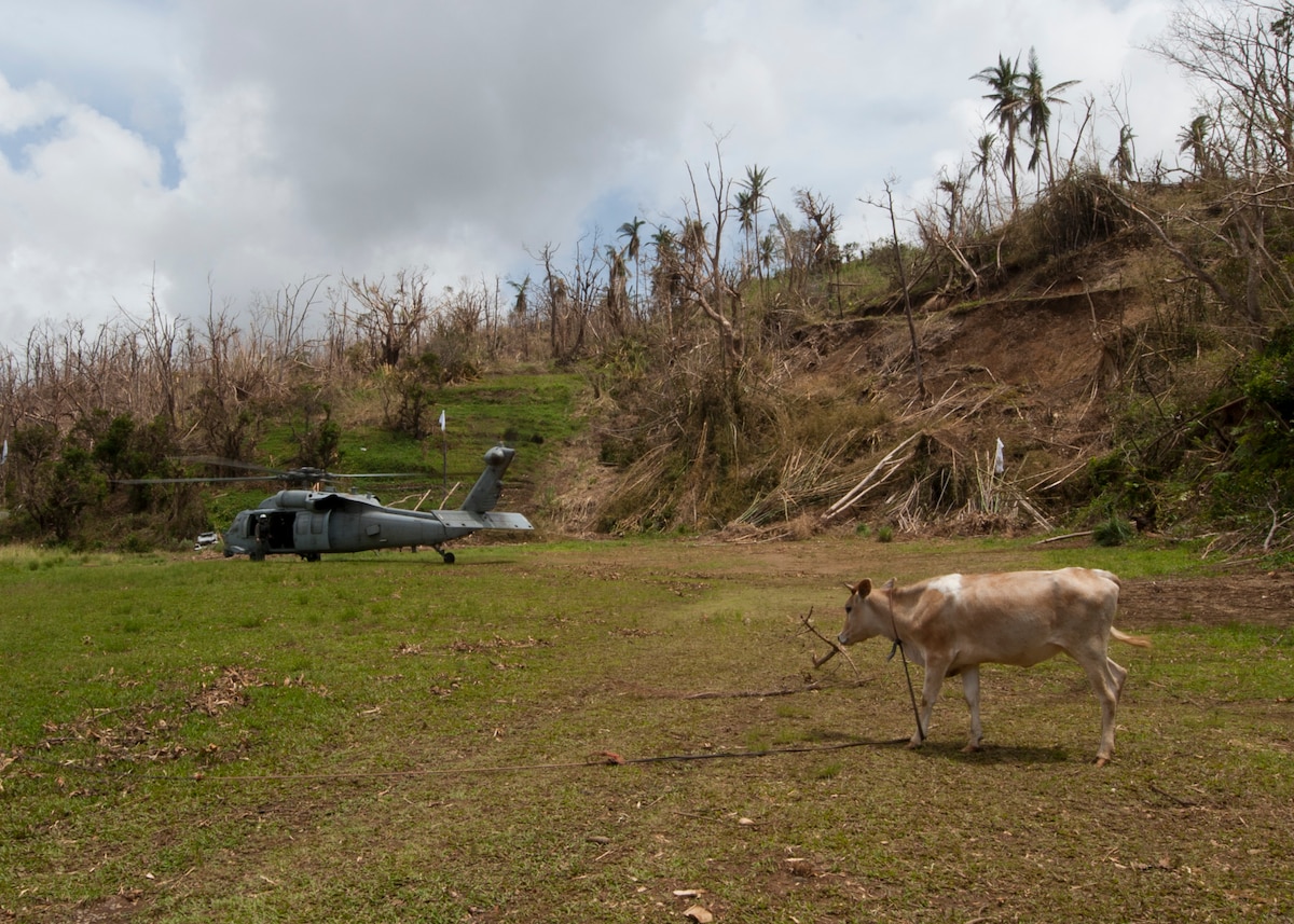 A U.S. Navy helicopter on the ground prepares to transport evacuees off Dominica.