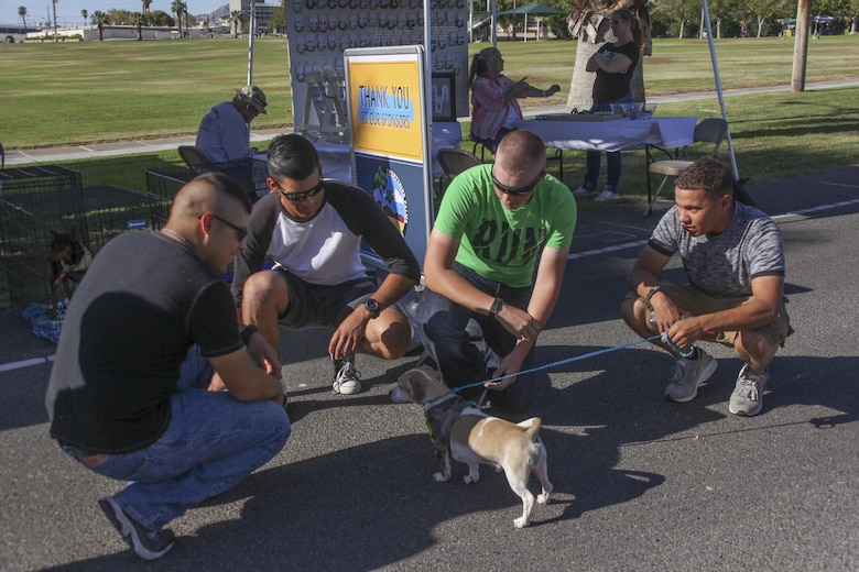 Combat Center patrons play with a dog from Palms-N-Paws animal shelter during the Marine Corps Air Ground Combat Center’s 65th anniversary aboard the Combat Center the September 23. In celebration of the anniversary, the Combat Center hosted a variety of festivities, including a street fair, a Family Fun Zone and a contest of physical fitness called the Battle of Bandini. (U.S. Marine Corps photo by Lance Cpl. Natalia Cuevas)
