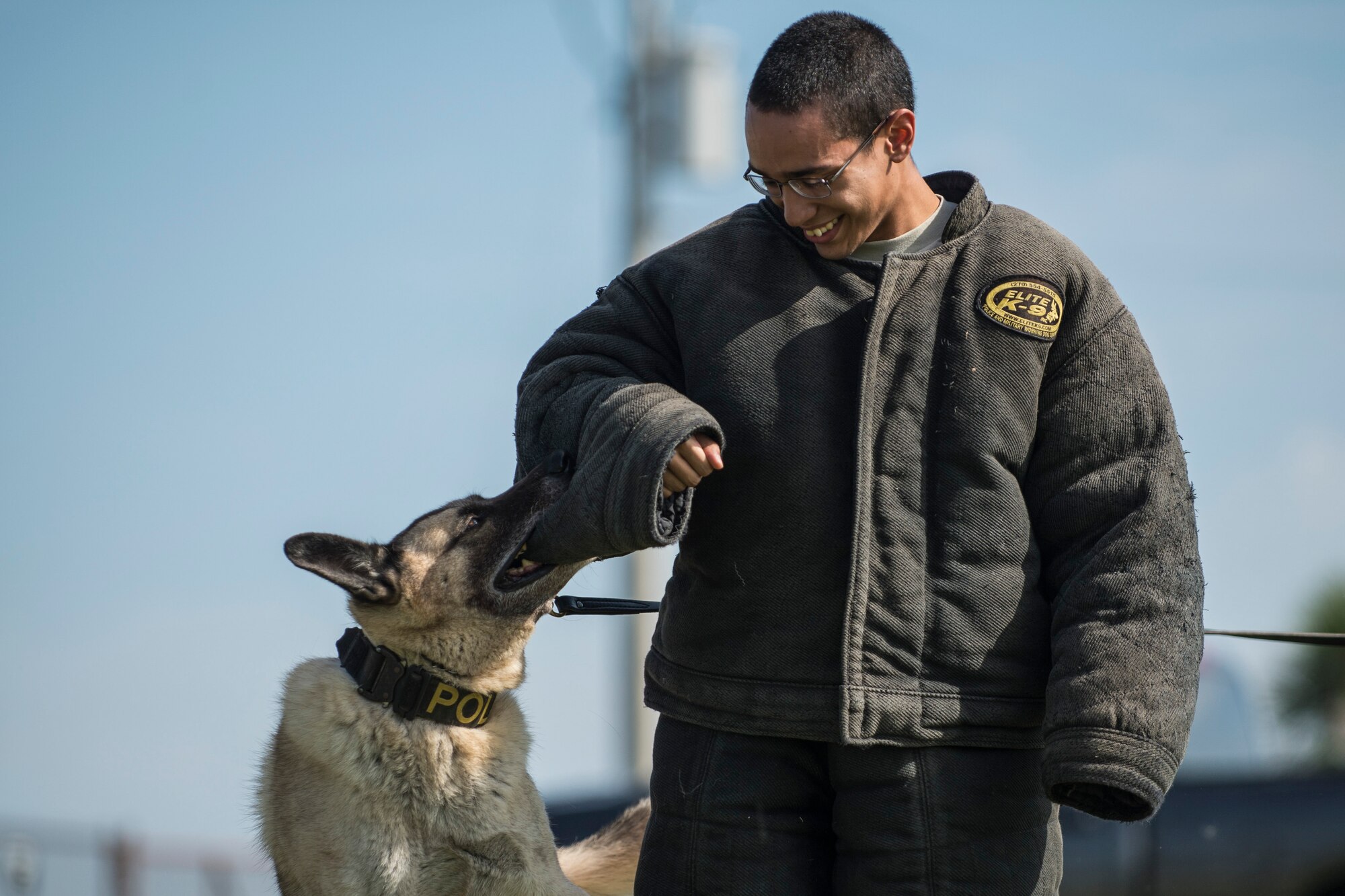 U.S. Air Force Airman 1st Class Jose Torres, a customer service technician assigned to the 6th Force Support Squadron, receives a training bite from military working dog Jecky at MacDill Air Force Base, Fla., Sept. 21, 2017.