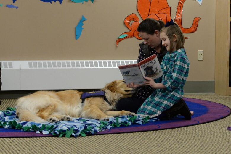 Providing comfort and resiliency one paw at a time