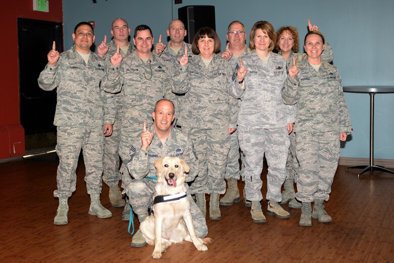 Providing comfort and resiliency one paw at a time