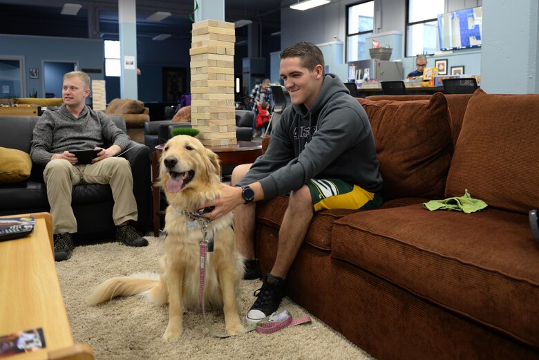 Providing comfort and resiliency one paw at a time