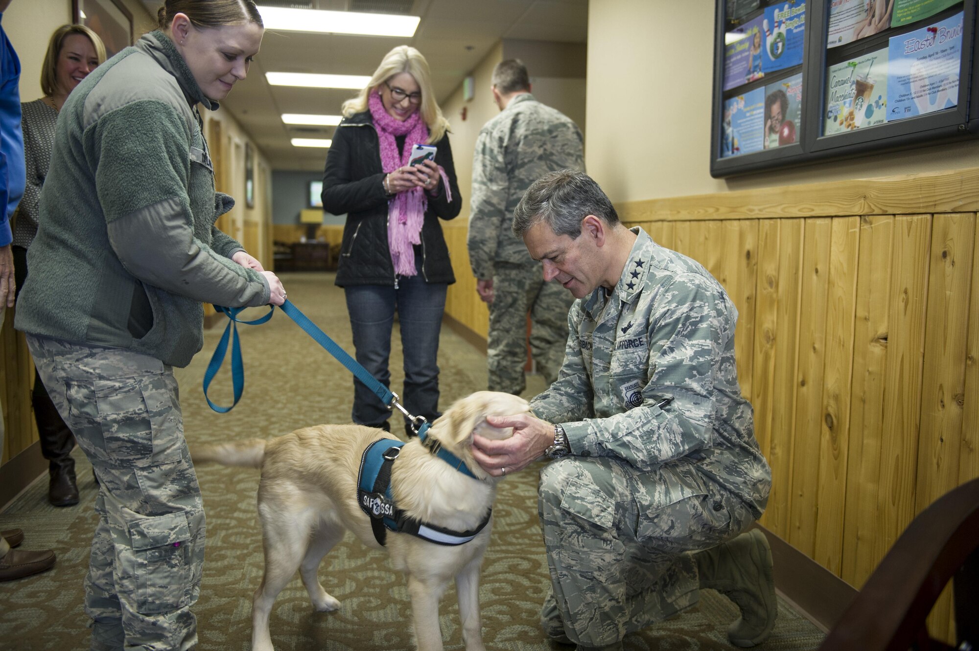 Providing comfort and resiliency one paw at a time