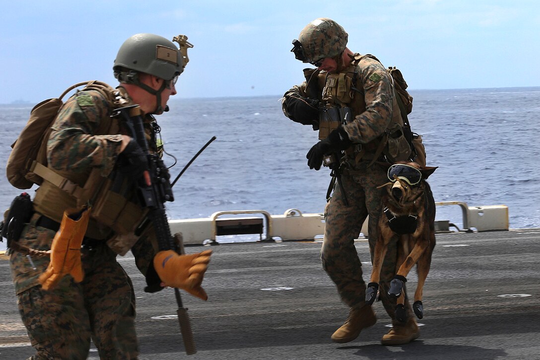 A Marine and his military working dog conduct fast-rope training.