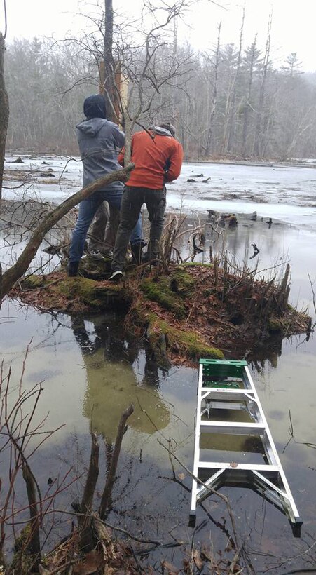 Students work in muddy conditions to install a Wood Duck box at Hodges Village Dam, Feb. 22, 2018.