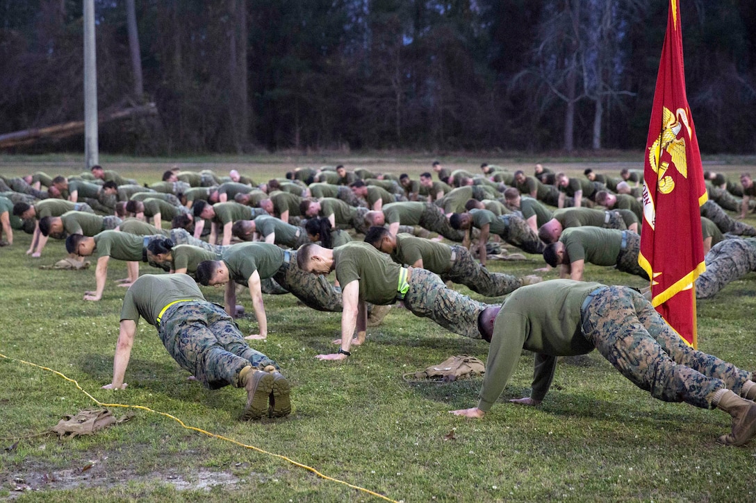 Marines and sailors perform pushups.