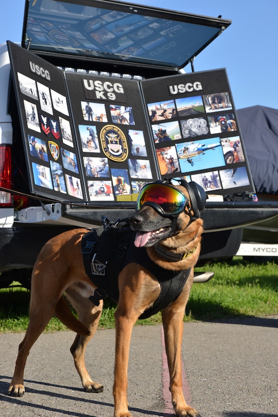 A Coast Guard canine stands in front of an explosives display.