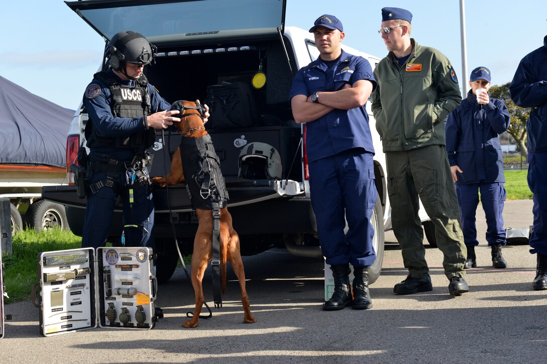 A Coast Guardsman puts the proper gear on his canine for an exercise.