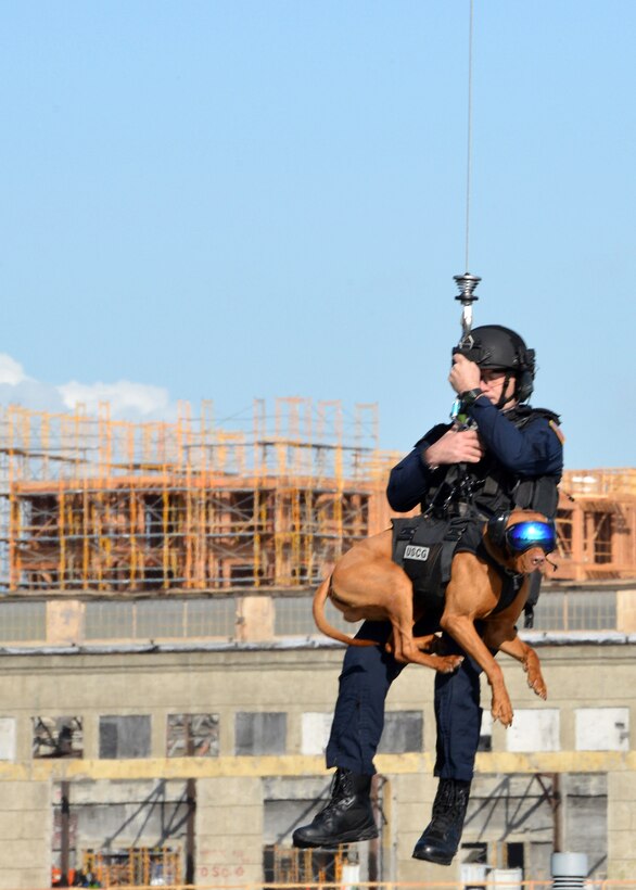 A guardsman and a working dog are hoisted into the air during training.