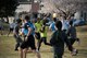Ultimate frisbee players battle for the disk, March 28, 2018, Yokota Air Base, Japan.