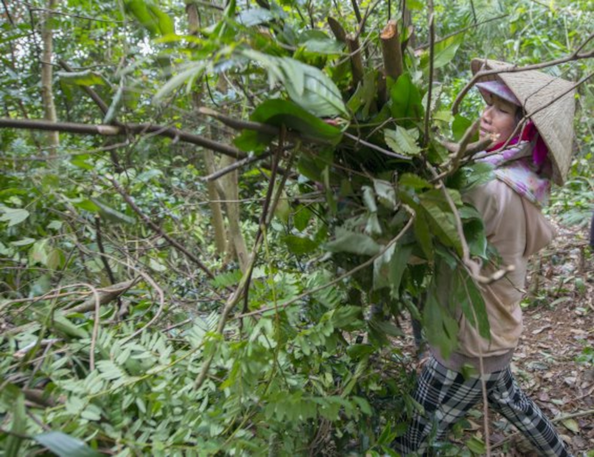 A Vietnamese worker clears jungle vegetation from an excavation site March 17, 2018, in Quang Ngai province, Vietnam, where an American pilot crashed during the Vietnam War. (U.S. Army photo by Sean Kimmons)