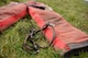 The 100th Security Forces Squadron Military Working Dog section hosted training with the British Army 1st Military Working Dog Regiment, Royal Army Veterinary Corps, at RAF Mildenhall, England, March 26, 2018. The units conducted detection and patrol work training in order to exchange training methods. (U.S. Air Force photo by Senior Airman Luke Milano)