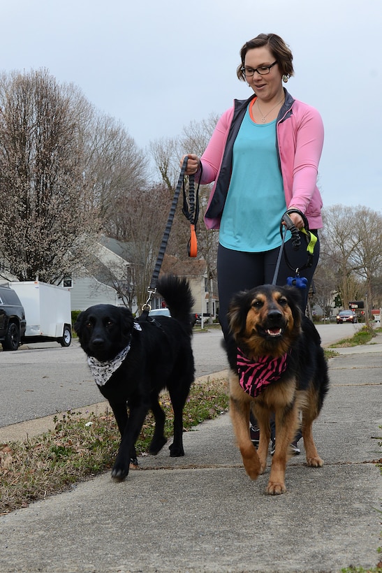 A woman walks two dogs.
