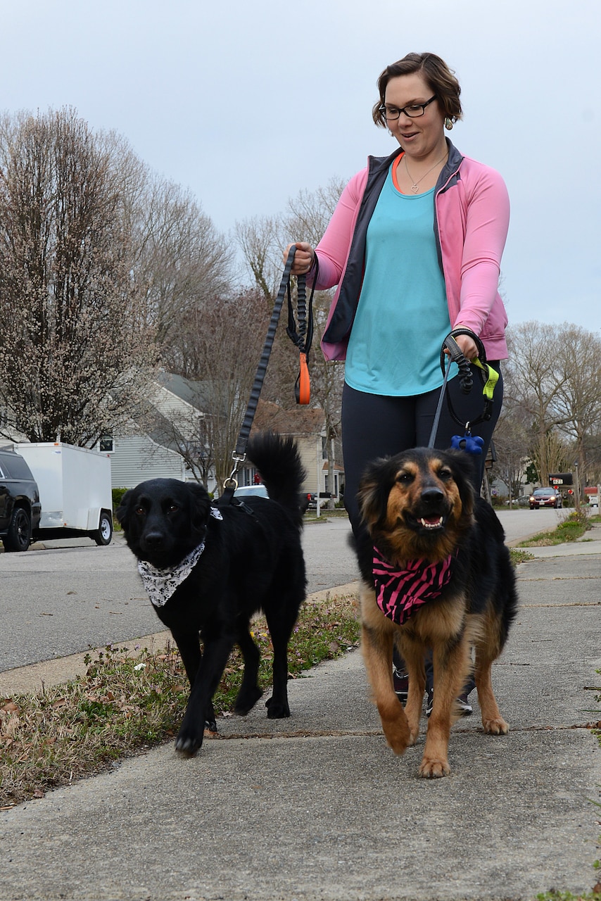 A woman walks two dogs.