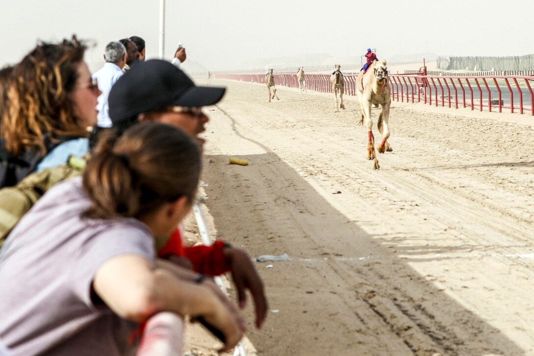 People watch as camels outfitted with gear on their hooves and back race on a dirt track.