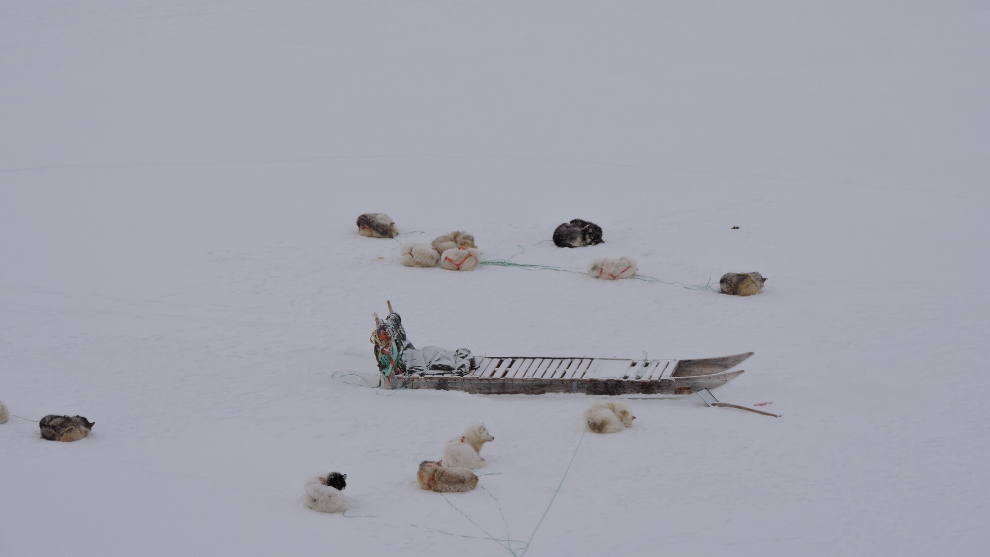 Thule Air Base, Greenland, Armed Forces Day