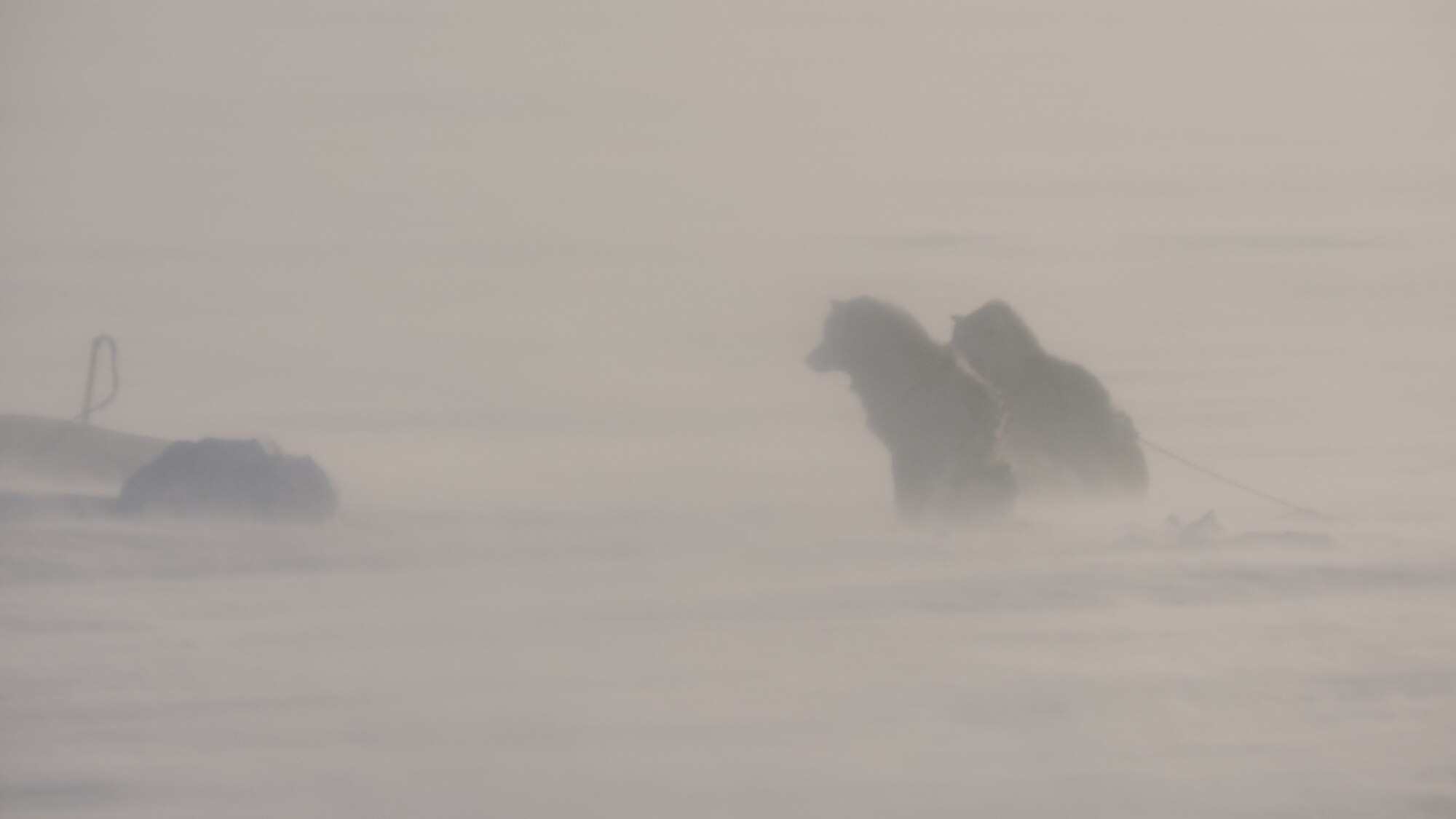 Thule Air Base, Greenland, Armed Forces Day