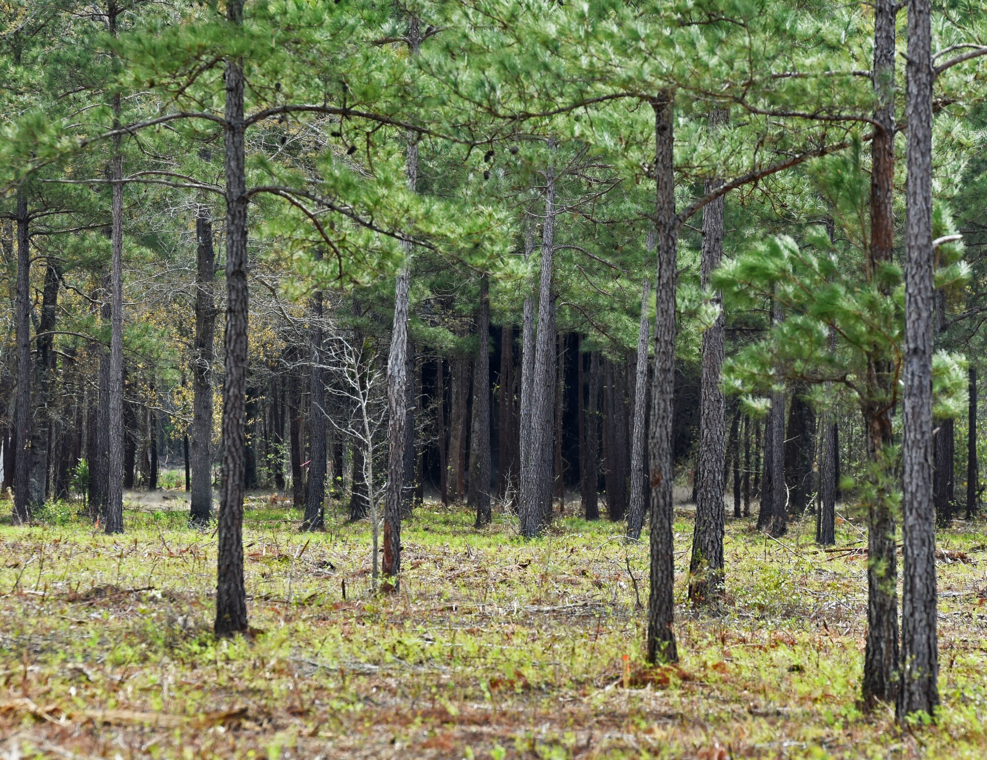 Unexploded ordinance is blown up in Conway, S.C., April 4.