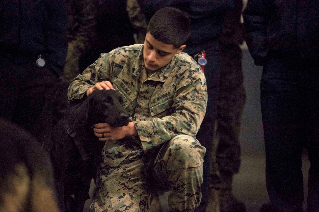 A Marine takes a break with his military working dog.