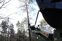 Staellite dish in trees